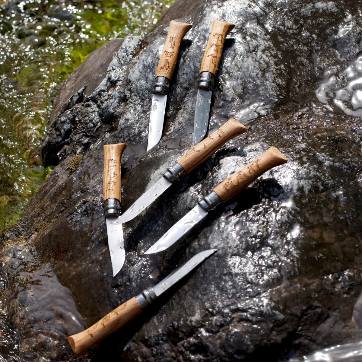 No.08 Engraved Animalia 6 Piece Box Set - Image 9