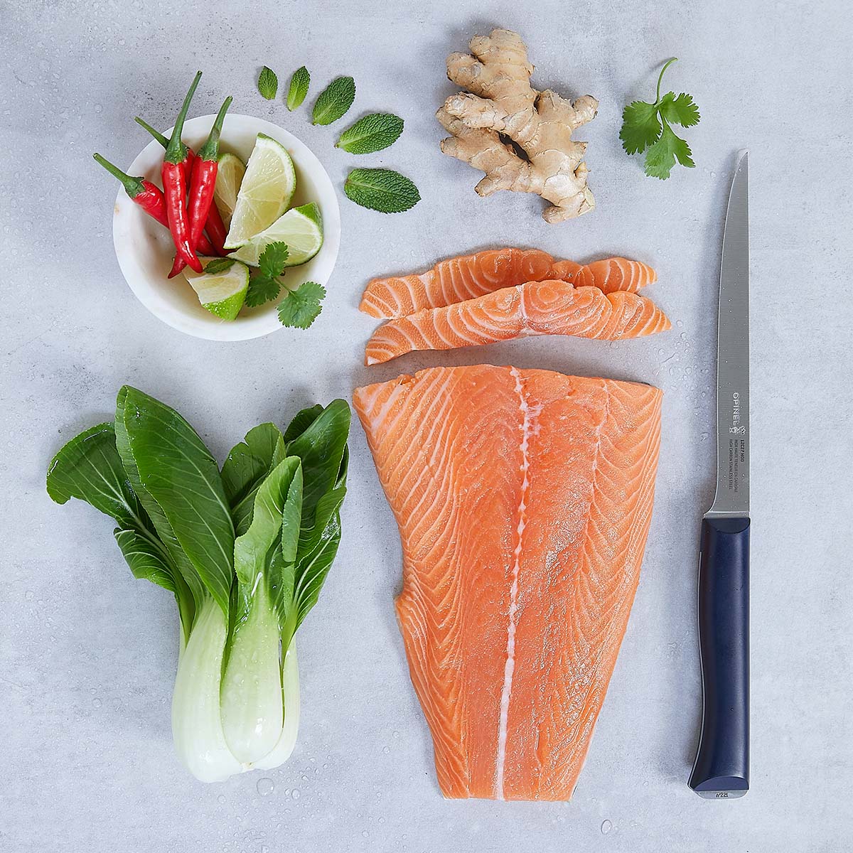 Intempora 7" Fillet Knife - Image 3